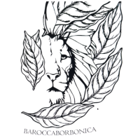 Antonietta Sorrentino